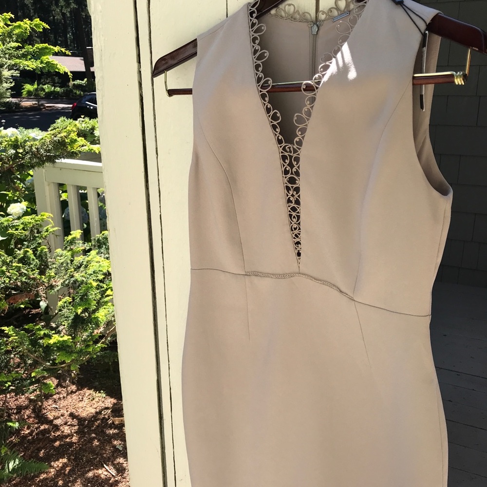 Nude tan beige classy Tahari dress